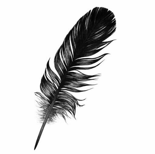 black, feather, mysterious-4567519.jpg